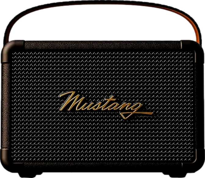 GoBoult Mustang GT40 Review - 40W Bluetooth Speaker