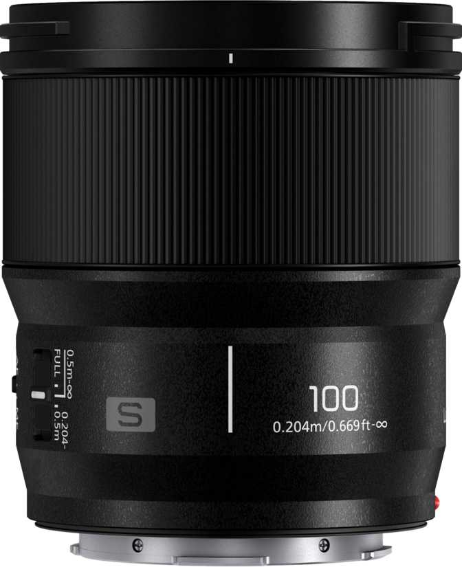 Panasonic Lumix S 100mm f/2.8 Macro: Full Review for L-Mount Shooters