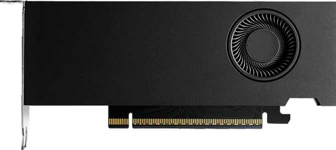 Nvidia RTX Pro 2000 Blackwell Review: Built for Professional Work